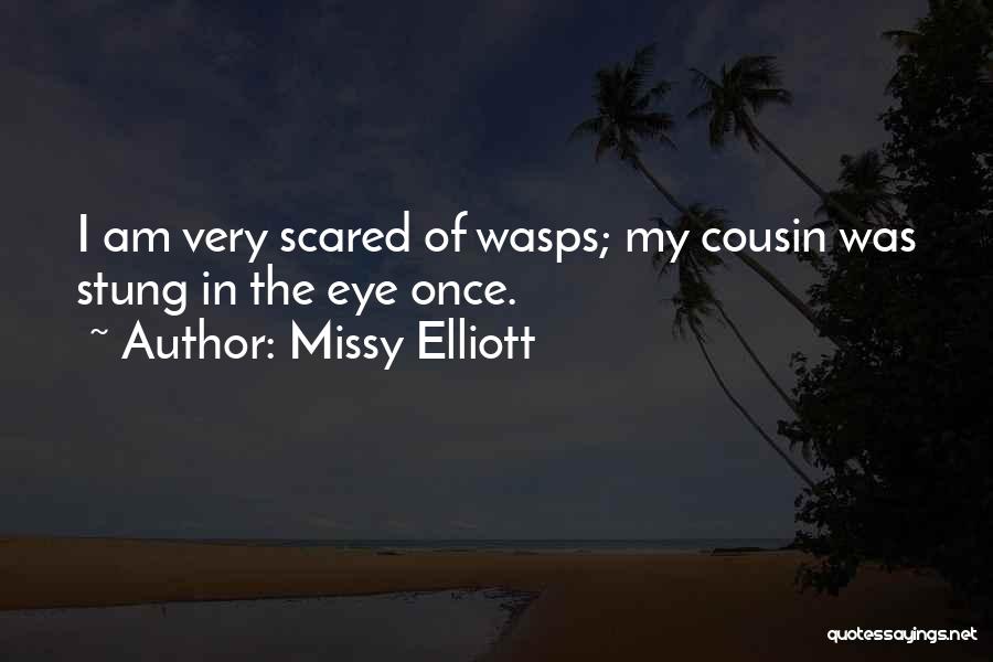 Missy Elliott Quotes: I Am Very Scared Of Wasps; My Cousin Was Stung In The Eye Once.