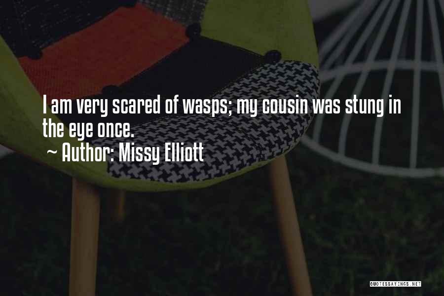 Missy Elliott Quotes: I Am Very Scared Of Wasps; My Cousin Was Stung In The Eye Once.