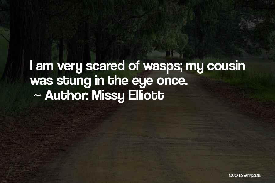 Missy Elliott Quotes: I Am Very Scared Of Wasps; My Cousin Was Stung In The Eye Once.