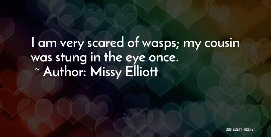 Missy Elliott Quotes: I Am Very Scared Of Wasps; My Cousin Was Stung In The Eye Once.