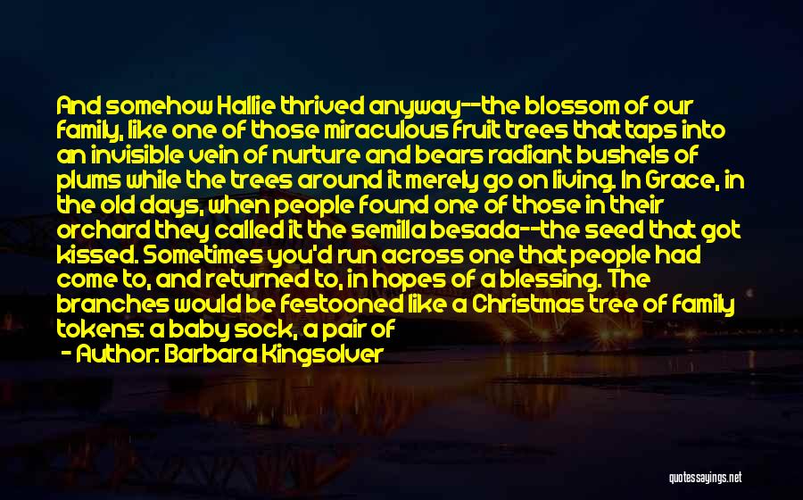 Barbara Kingsolver Quotes: And Somehow Hallie Thrived Anyway--the Blossom Of Our Family, Like One Of Those Miraculous Fruit Trees That Taps Into An