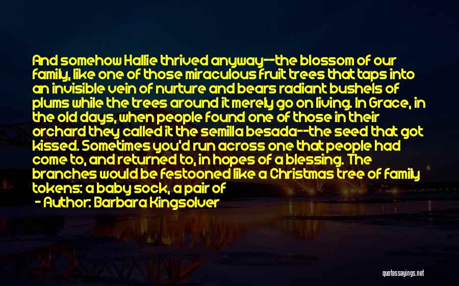 Barbara Kingsolver Quotes: And Somehow Hallie Thrived Anyway--the Blossom Of Our Family, Like One Of Those Miraculous Fruit Trees That Taps Into An