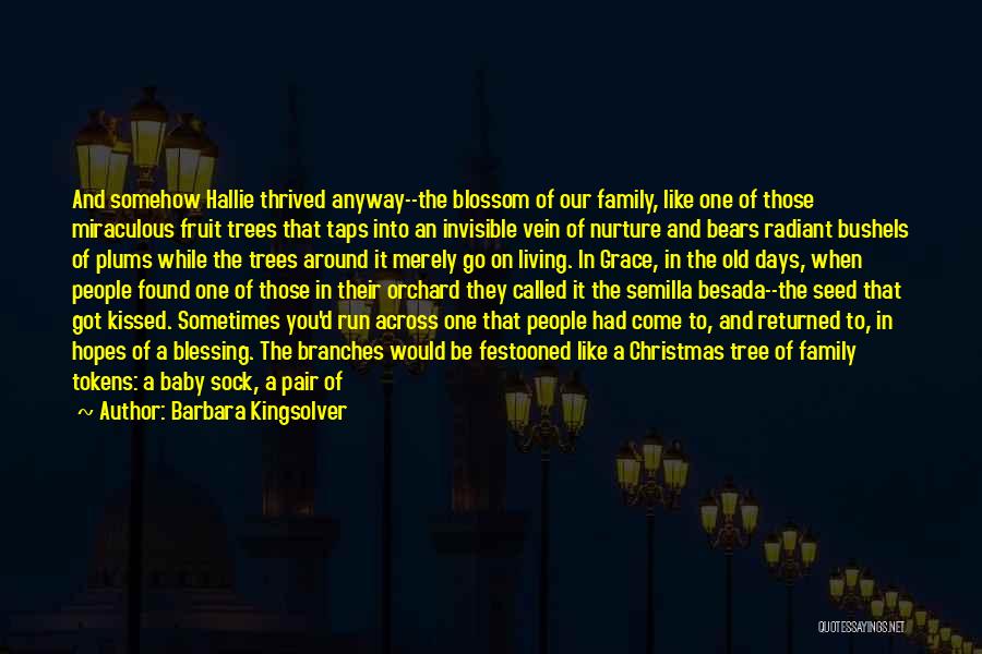 Barbara Kingsolver Quotes: And Somehow Hallie Thrived Anyway--the Blossom Of Our Family, Like One Of Those Miraculous Fruit Trees That Taps Into An