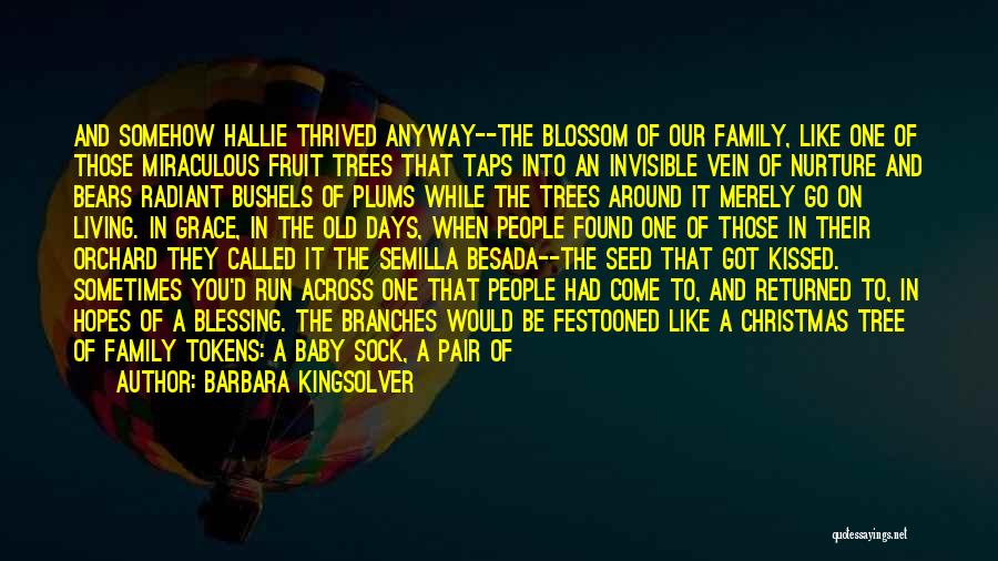 Barbara Kingsolver Quotes: And Somehow Hallie Thrived Anyway--the Blossom Of Our Family, Like One Of Those Miraculous Fruit Trees That Taps Into An