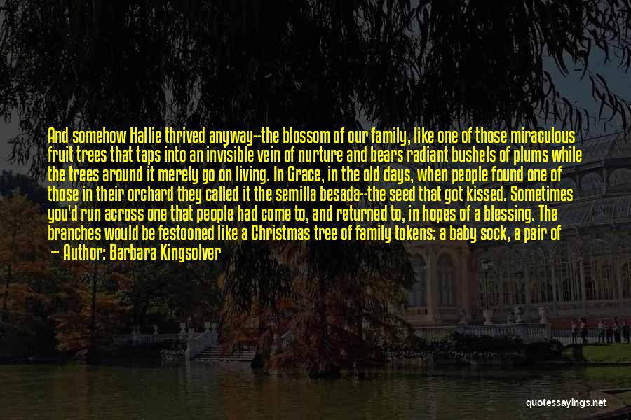 Barbara Kingsolver Quotes: And Somehow Hallie Thrived Anyway--the Blossom Of Our Family, Like One Of Those Miraculous Fruit Trees That Taps Into An