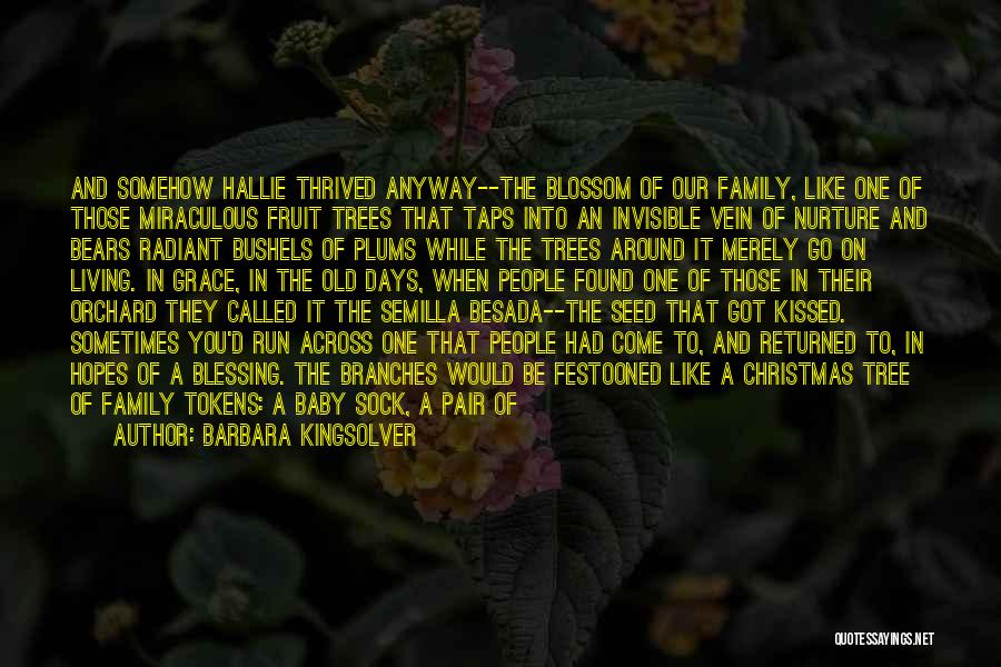 Barbara Kingsolver Quotes: And Somehow Hallie Thrived Anyway--the Blossom Of Our Family, Like One Of Those Miraculous Fruit Trees That Taps Into An