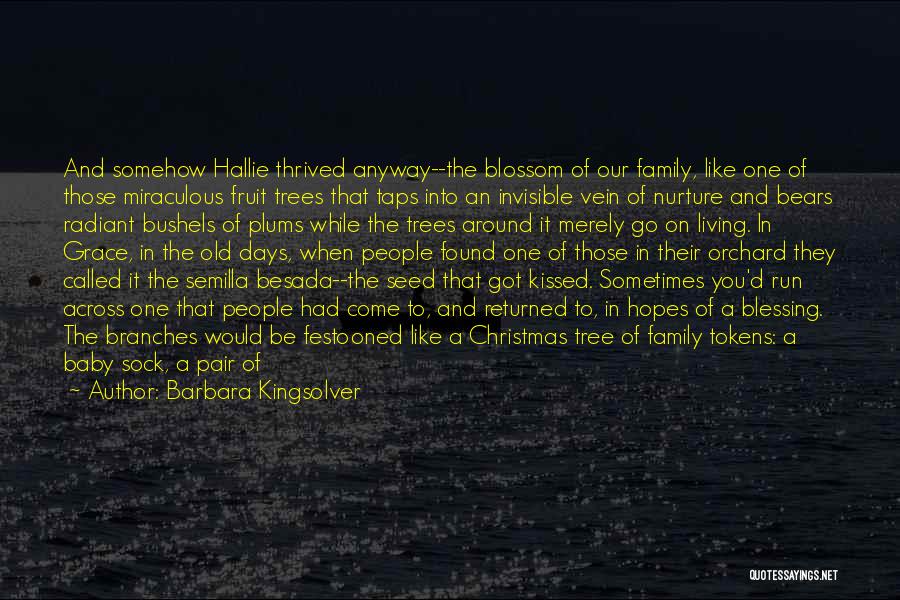 Barbara Kingsolver Quotes: And Somehow Hallie Thrived Anyway--the Blossom Of Our Family, Like One Of Those Miraculous Fruit Trees That Taps Into An