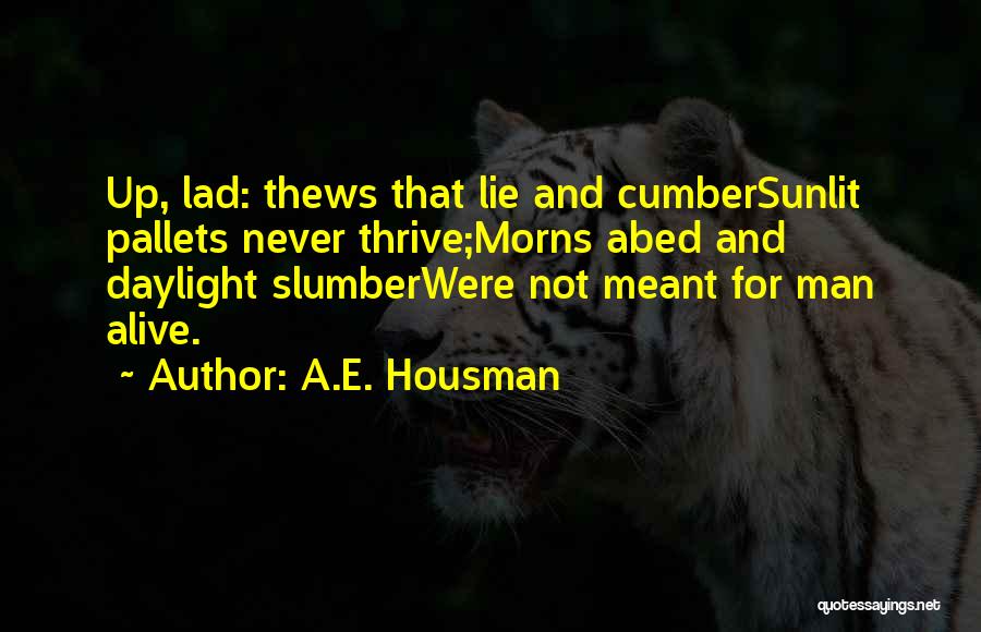 A.E. Housman Quotes: Up, Lad: Thews That Lie And Cumbersunlit Pallets Never Thrive;morns Abed And Daylight Slumberwere Not Meant For Man Alive.