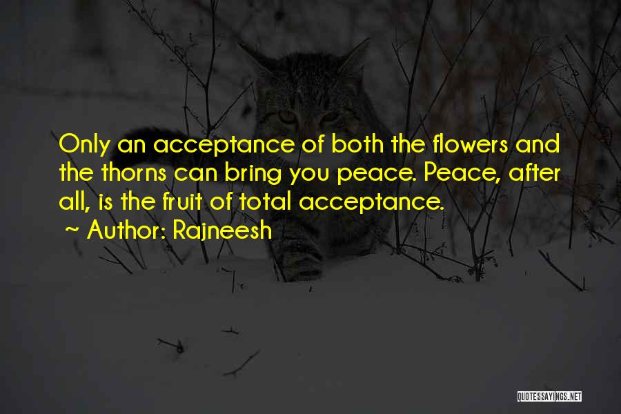 Rajneesh Quotes: Only An Acceptance Of Both The Flowers And The Thorns Can Bring You Peace. Peace, After All, Is The Fruit