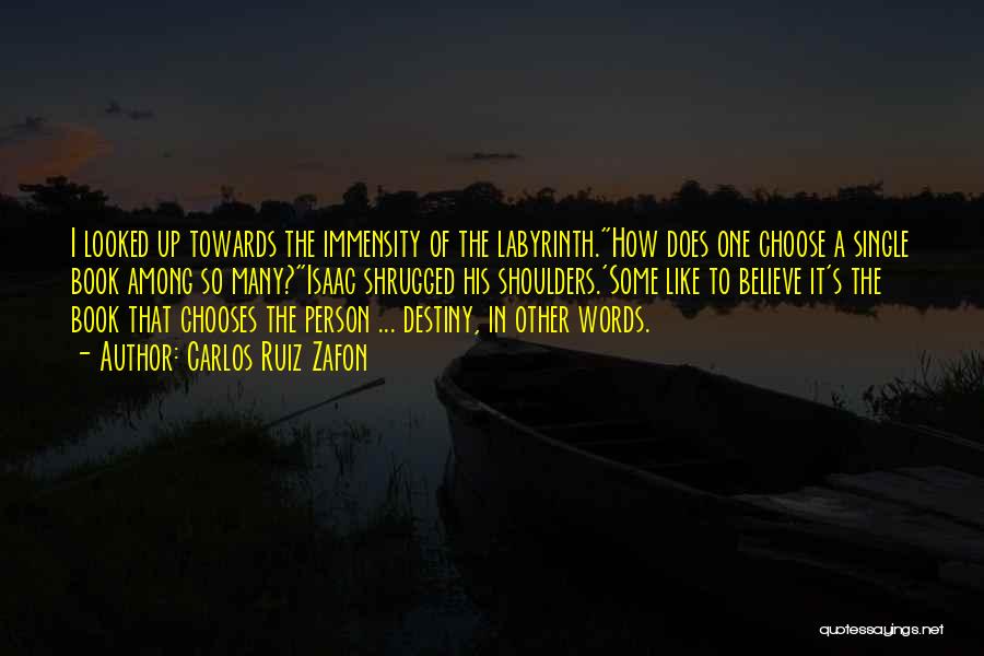 Carlos Ruiz Zafon Quotes: I Looked Up Towards The Immensity Of The Labyrinth.how Does One Choose A Single Book Among So Many?isaac Shrugged His