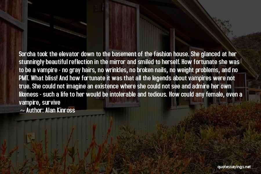 Alan Kinross Quotes: Sorcha Took The Elevator Down To The Basement Of The Fashion House. She Glanced At Her Stunningly Beautiful Reflection In