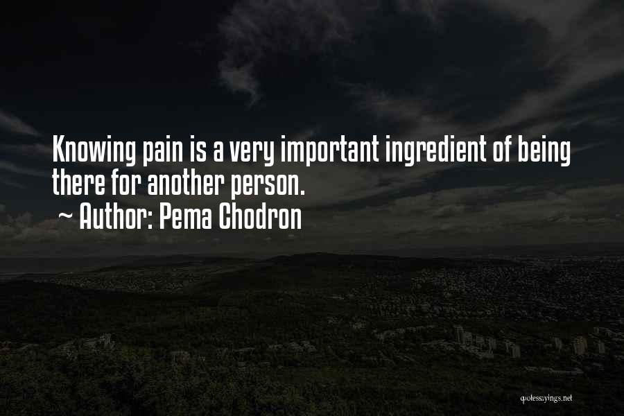 Pema Chodron Quotes: Knowing Pain Is A Very Important Ingredient Of Being There For Another Person.