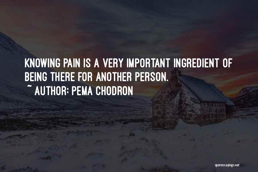 Pema Chodron Quotes: Knowing Pain Is A Very Important Ingredient Of Being There For Another Person.