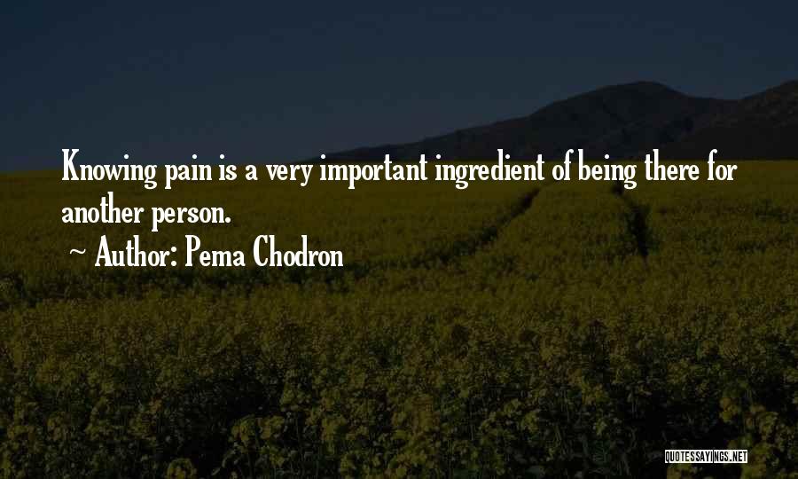 Pema Chodron Quotes: Knowing Pain Is A Very Important Ingredient Of Being There For Another Person.