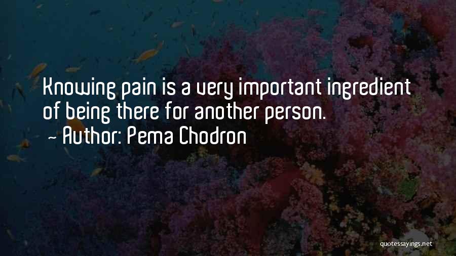 Pema Chodron Quotes: Knowing Pain Is A Very Important Ingredient Of Being There For Another Person.