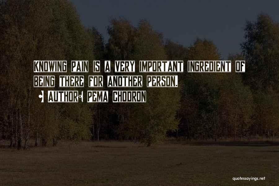 Pema Chodron Quotes: Knowing Pain Is A Very Important Ingredient Of Being There For Another Person.