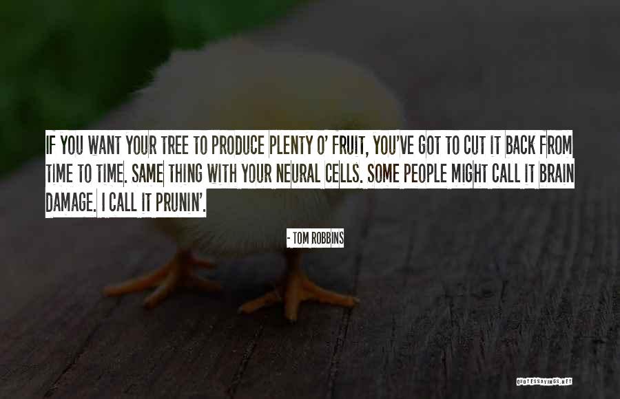 266 Country Quotes By Tom Robbins 266 Country Quotes By Tom Robbins