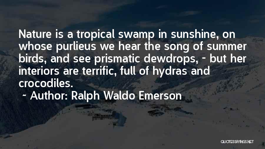 Ralph Waldo Emerson Quotes: Nature Is A Tropical Swamp In Sunshine, On Whose Purlieus We Hear The Song Of Summer Birds, And See Prismatic