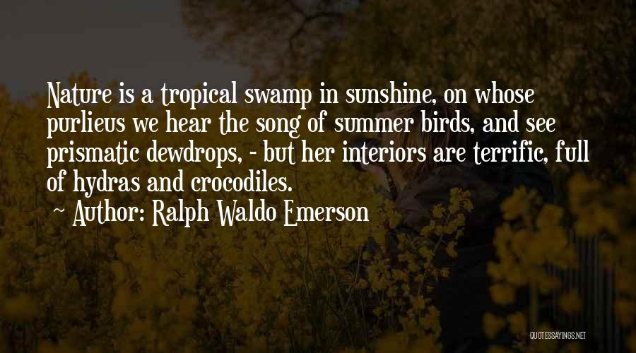 Ralph Waldo Emerson Quotes: Nature Is A Tropical Swamp In Sunshine, On Whose Purlieus We Hear The Song Of Summer Birds, And See Prismatic