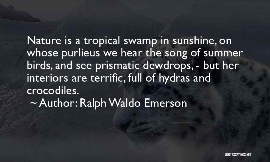 Ralph Waldo Emerson Quotes: Nature Is A Tropical Swamp In Sunshine, On Whose Purlieus We Hear The Song Of Summer Birds, And See Prismatic