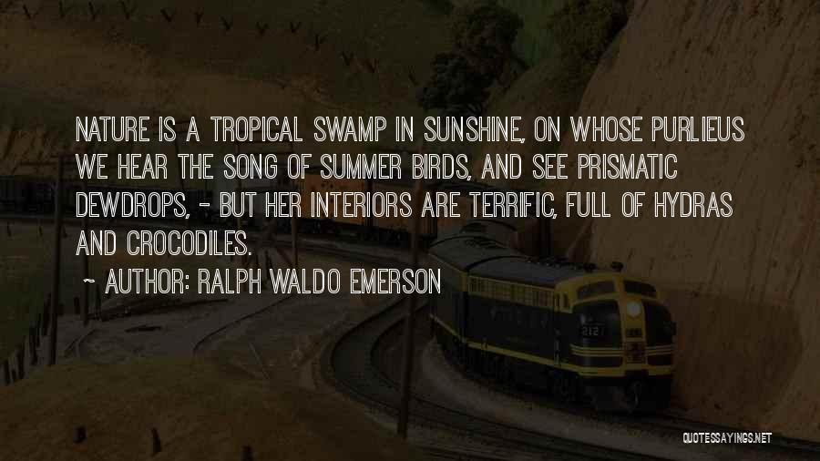 Ralph Waldo Emerson Quotes: Nature Is A Tropical Swamp In Sunshine, On Whose Purlieus We Hear The Song Of Summer Birds, And See Prismatic