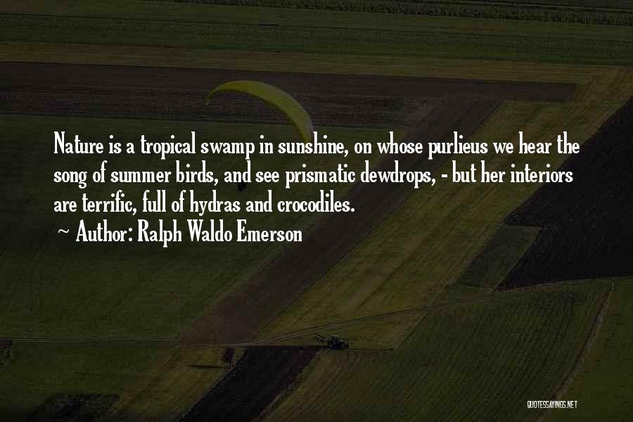 Ralph Waldo Emerson Quotes: Nature Is A Tropical Swamp In Sunshine, On Whose Purlieus We Hear The Song Of Summer Birds, And See Prismatic