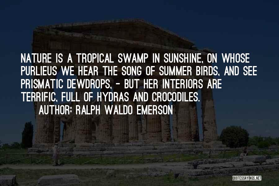 Ralph Waldo Emerson Quotes: Nature Is A Tropical Swamp In Sunshine, On Whose Purlieus We Hear The Song Of Summer Birds, And See Prismatic