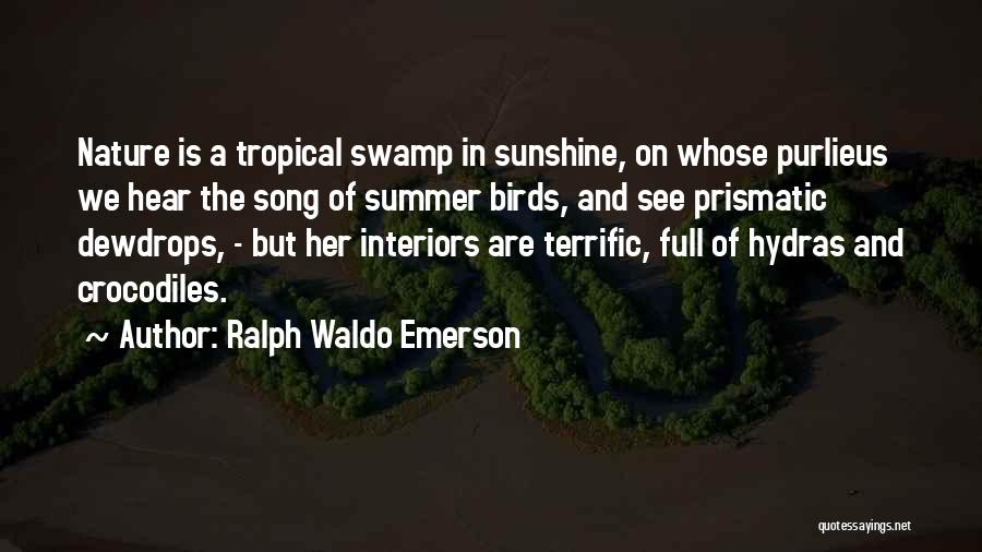 Ralph Waldo Emerson Quotes: Nature Is A Tropical Swamp In Sunshine, On Whose Purlieus We Hear The Song Of Summer Birds, And See Prismatic