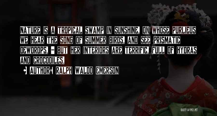 Ralph Waldo Emerson Quotes: Nature Is A Tropical Swamp In Sunshine, On Whose Purlieus We Hear The Song Of Summer Birds, And See Prismatic