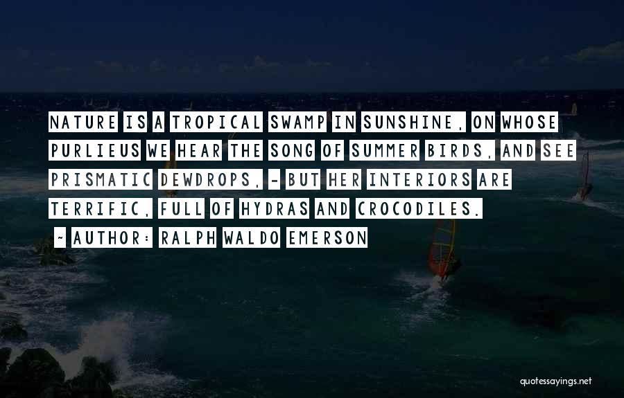 Ralph Waldo Emerson Quotes: Nature Is A Tropical Swamp In Sunshine, On Whose Purlieus We Hear The Song Of Summer Birds, And See Prismatic