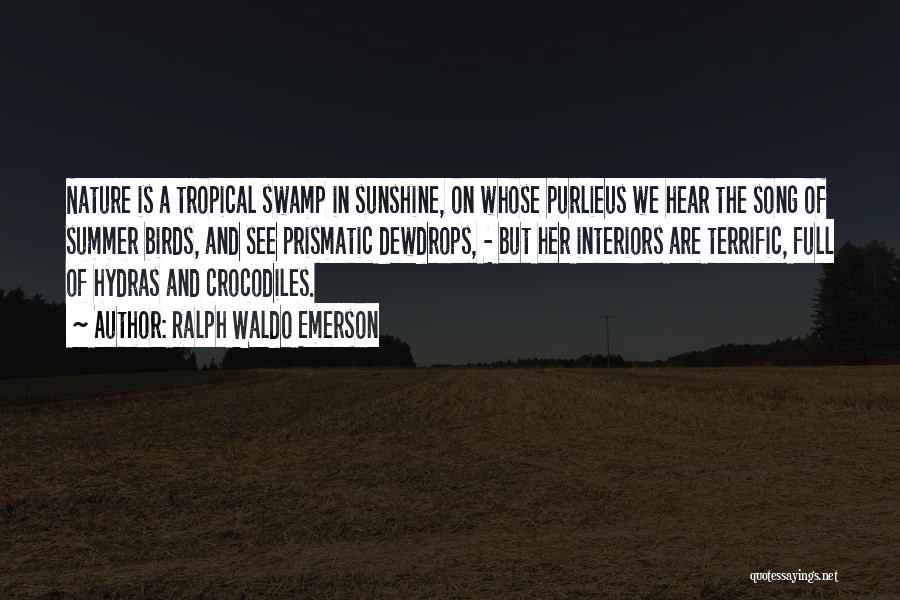 Ralph Waldo Emerson Quotes: Nature Is A Tropical Swamp In Sunshine, On Whose Purlieus We Hear The Song Of Summer Birds, And See Prismatic