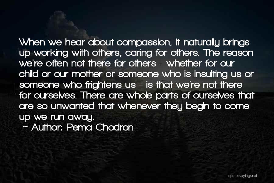 Pema Chodron Quotes: When We Hear About Compassion, It Naturally Brings Up Working With Others, Caring For Others. The Reason We're Often Not