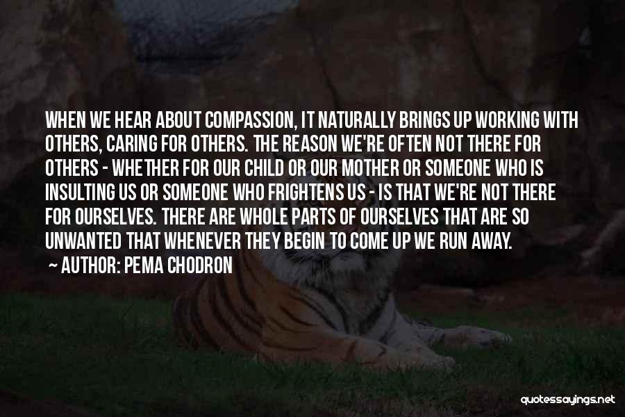 Pema Chodron Quotes: When We Hear About Compassion, It Naturally Brings Up Working With Others, Caring For Others. The Reason We're Often Not