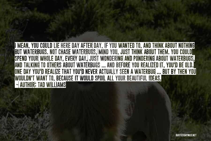 Tad Williams Quotes: I Mean, You Could Lie Here Day After Day, If You Wanted To, And Think About Nothing But Waterbugs. Not