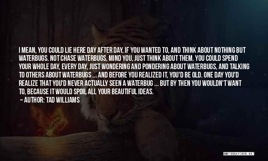 Tad Williams Quotes: I Mean, You Could Lie Here Day After Day, If You Wanted To, And Think About Nothing But Waterbugs. Not