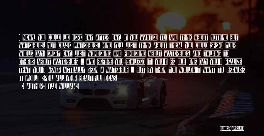 Tad Williams Quotes: I Mean, You Could Lie Here Day After Day, If You Wanted To, And Think About Nothing But Waterbugs. Not