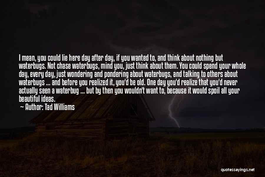 Tad Williams Quotes: I Mean, You Could Lie Here Day After Day, If You Wanted To, And Think About Nothing But Waterbugs. Not