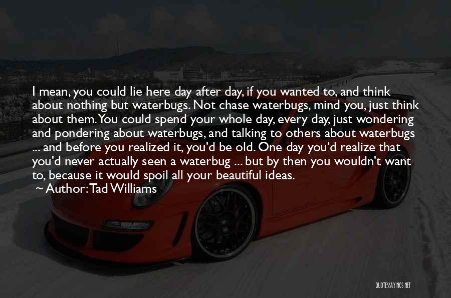 Tad Williams Quotes: I Mean, You Could Lie Here Day After Day, If You Wanted To, And Think About Nothing But Waterbugs. Not