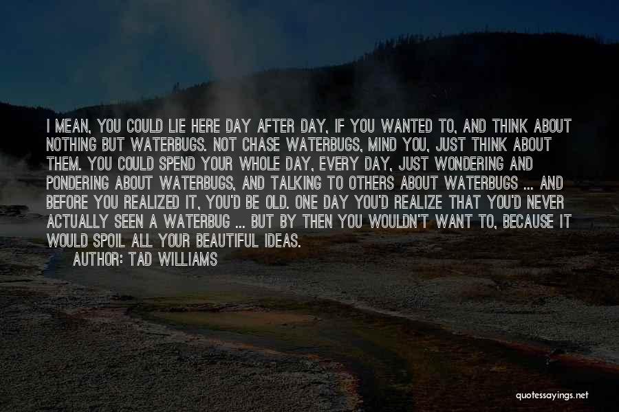 Tad Williams Quotes: I Mean, You Could Lie Here Day After Day, If You Wanted To, And Think About Nothing But Waterbugs. Not