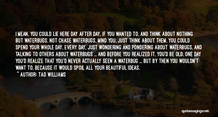 Tad Williams Quotes: I Mean, You Could Lie Here Day After Day, If You Wanted To, And Think About Nothing But Waterbugs. Not