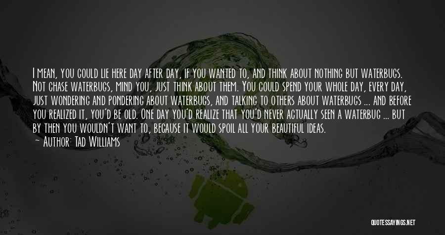 Tad Williams Quotes: I Mean, You Could Lie Here Day After Day, If You Wanted To, And Think About Nothing But Waterbugs. Not