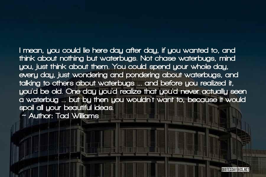 Tad Williams Quotes: I Mean, You Could Lie Here Day After Day, If You Wanted To, And Think About Nothing But Waterbugs. Not