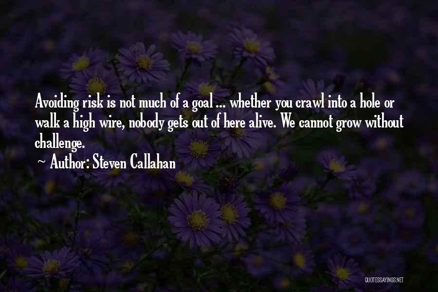 Steven Callahan Quotes: Avoiding Risk Is Not Much Of A Goal ... Whether You Crawl Into A Hole Or Walk A High Wire,