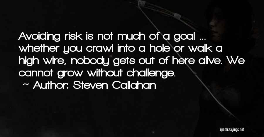 Steven Callahan Quotes: Avoiding Risk Is Not Much Of A Goal ... Whether You Crawl Into A Hole Or Walk A High Wire,