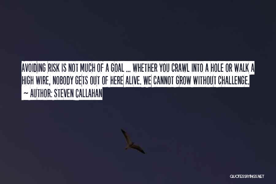 Steven Callahan Quotes: Avoiding Risk Is Not Much Of A Goal ... Whether You Crawl Into A Hole Or Walk A High Wire,