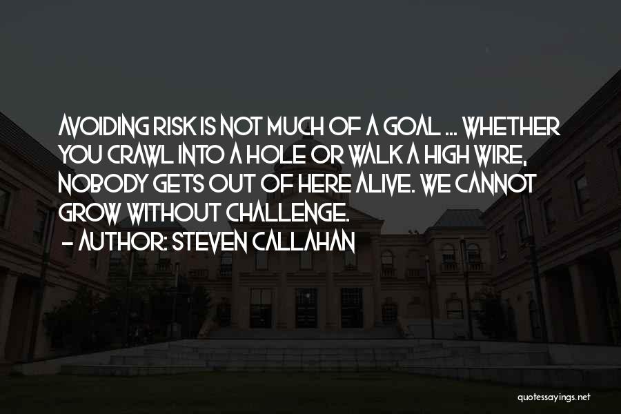 Steven Callahan Quotes: Avoiding Risk Is Not Much Of A Goal ... Whether You Crawl Into A Hole Or Walk A High Wire,