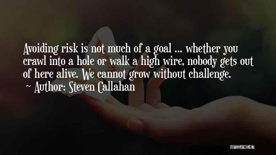 Steven Callahan Quotes: Avoiding Risk Is Not Much Of A Goal ... Whether You Crawl Into A Hole Or Walk A High Wire,