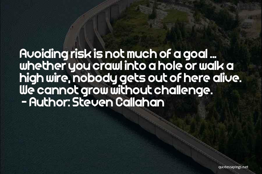 Steven Callahan Quotes: Avoiding Risk Is Not Much Of A Goal ... Whether You Crawl Into A Hole Or Walk A High Wire,