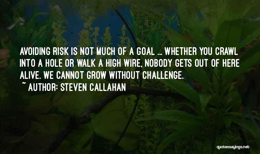 Steven Callahan Quotes: Avoiding Risk Is Not Much Of A Goal ... Whether You Crawl Into A Hole Or Walk A High Wire,