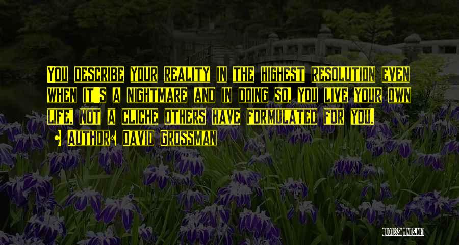 David Grossman Quotes: You Describe Your Reality In The Highest Resolution Even When It's A Nightmare And In Doing So, You Live Your